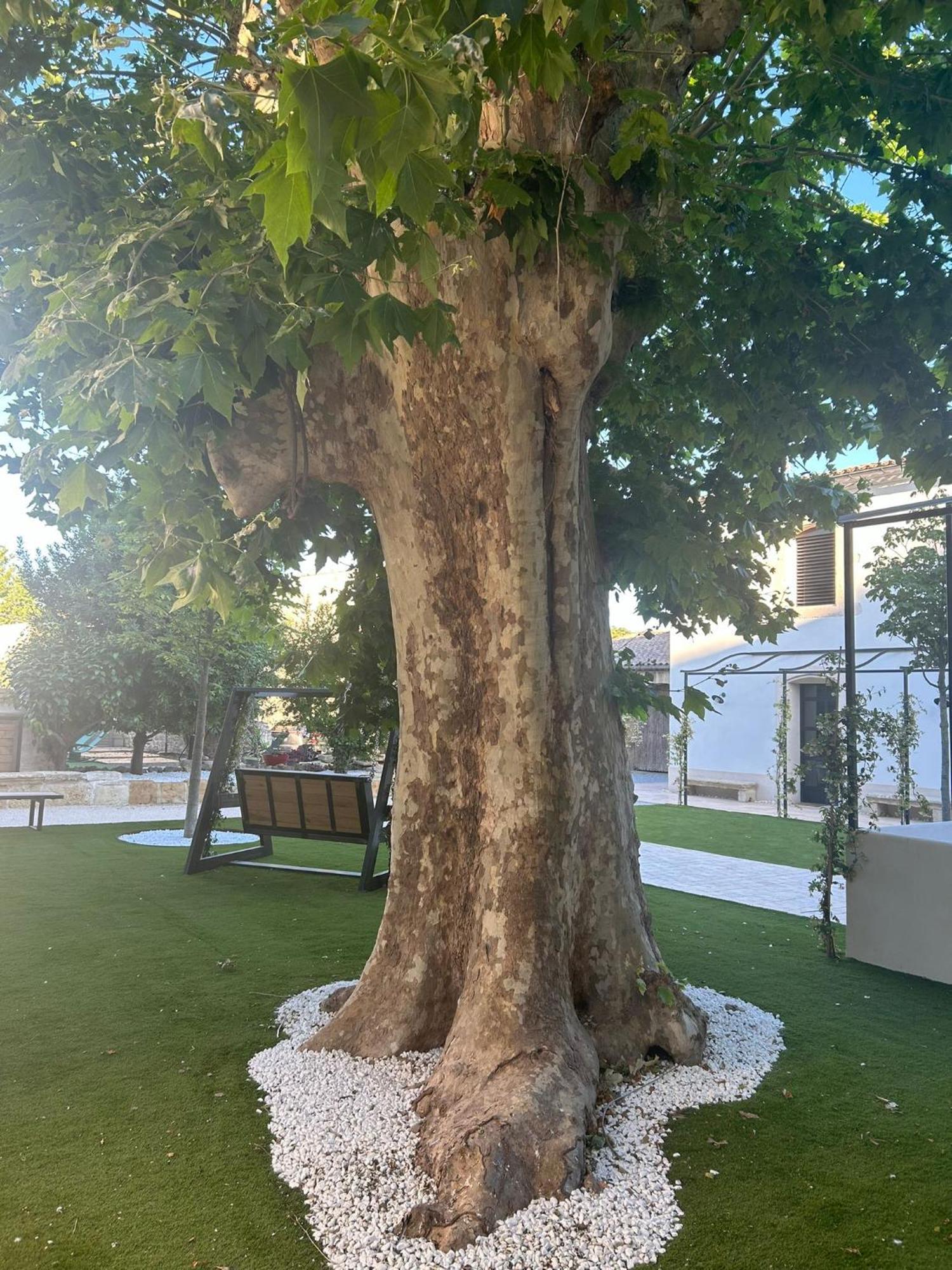 Les Marronniers Bed & Breakfast Laverune Bagian luar foto