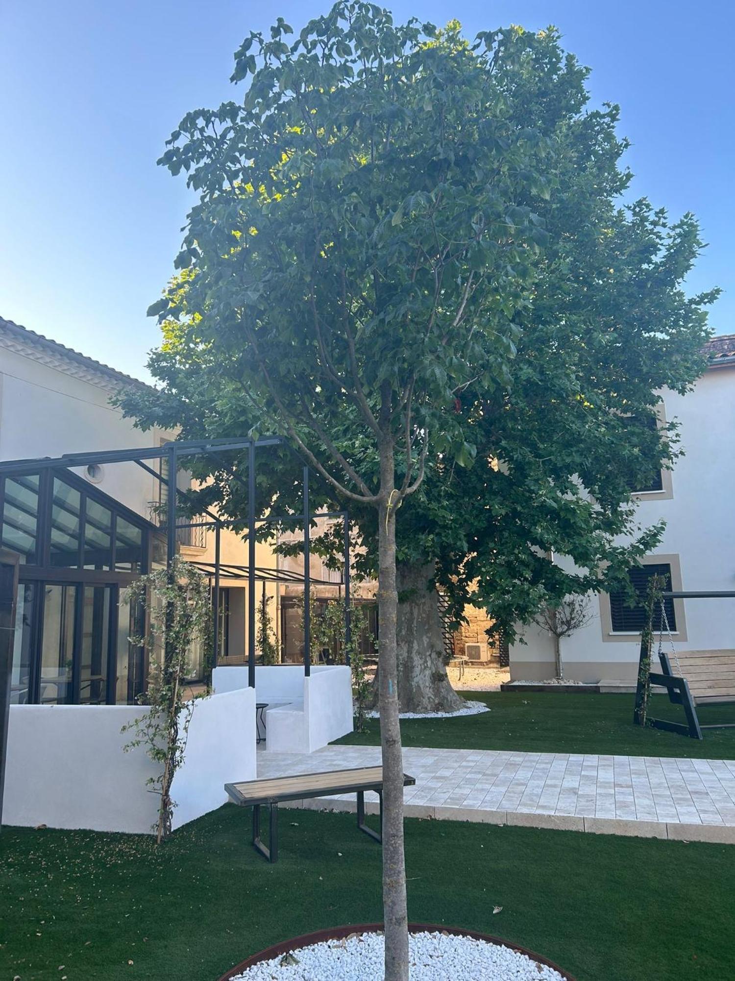Les Marronniers Bed & Breakfast Laverune Bagian luar foto